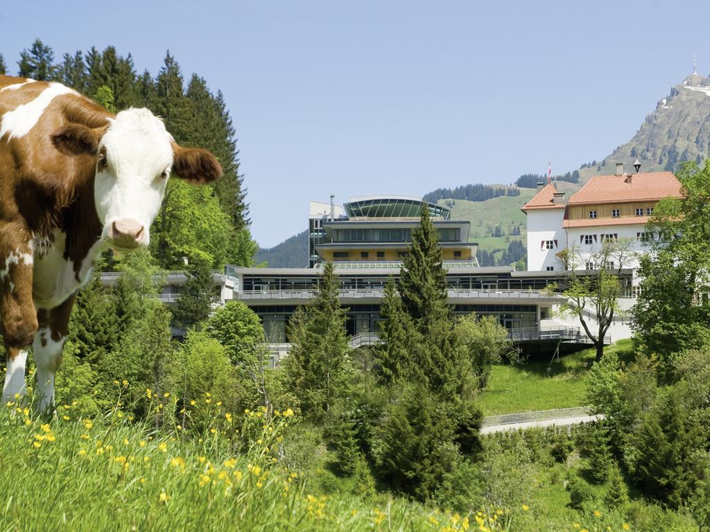 Lebenberg Schlosshotel-Kitzbühel Extérieur photo